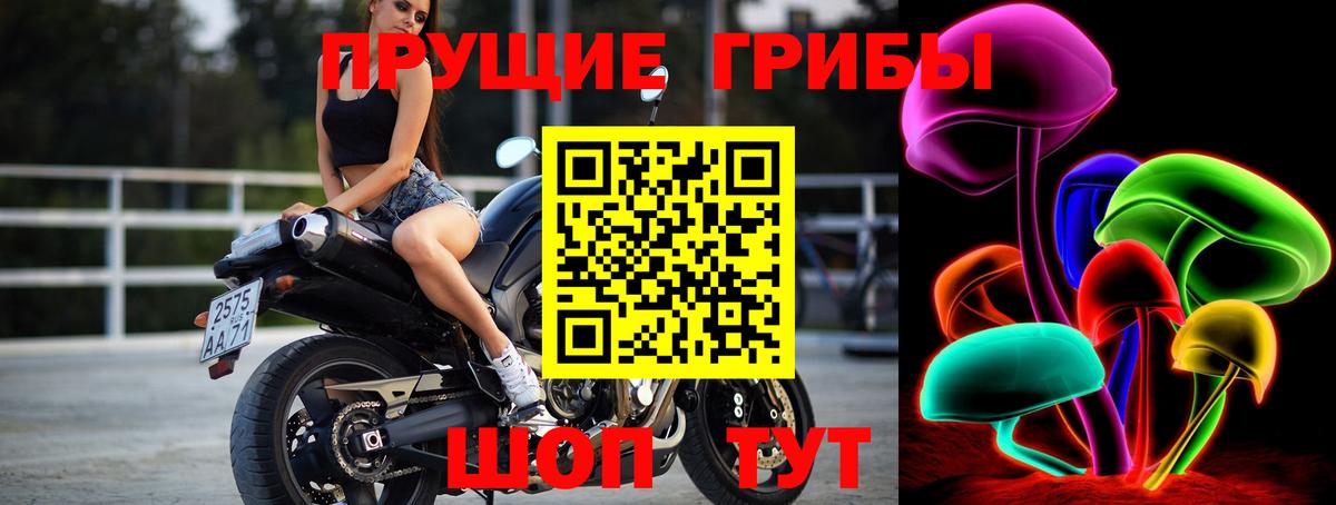 Псилоцибиновые грибы Psilocybe  Вход с VPN  Кисловодск  Галлюциногенные грибы мицелий 